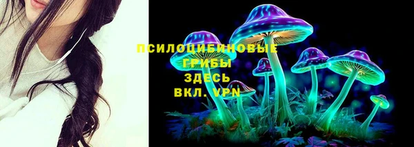 амф Аркадак