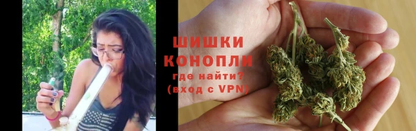 амф Аркадак