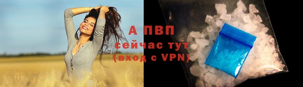 амф Аркадак
